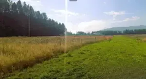 Pozemok v priemyselnej zóne v Námestove (1 245 m²)